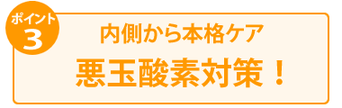 1日2粒小分けタイプ